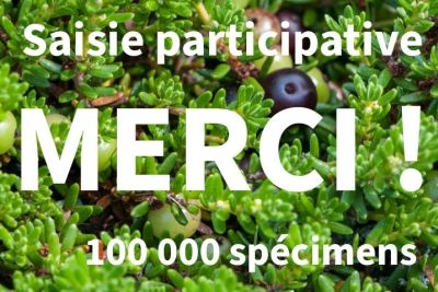 Merci